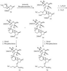 Figure imgf000071_0001