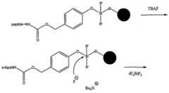 Figure imgf000032_0001