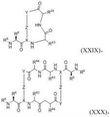 Figure BDA0003027048450000341