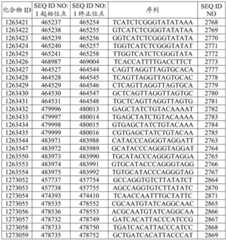 Figure BDA0003282506760002061