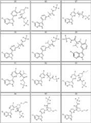 Figure BDA0000106649180000251