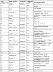 Figure imgf000068_0001