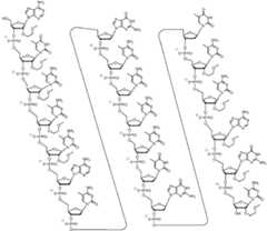 Figure imgf000003_0001