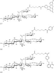 Figure BDA0003625098970000231