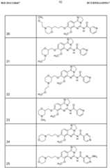 Figure imgf000093_0001