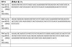 Figure BDA0004033970230004432