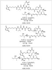 Figure BDA0002808063770002821