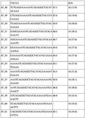 Figure imgf000014_0001