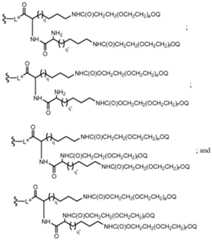 Figure imgf000094_0001