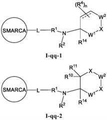 Figure FDA0003783300820000263