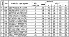 Figure imgf000119_0002