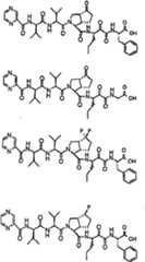 Figure G2009101493490D01241