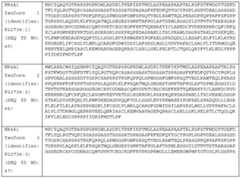 Figure imgf000032_0001