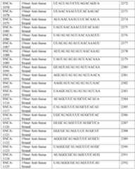 Figure imgf000284_0001