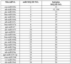 Figure imgf000022_0001