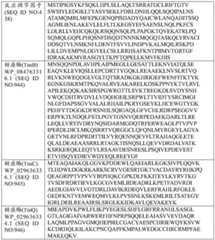 Figure BDA0004033970230004141