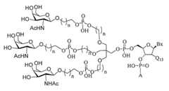 Figure 2023012548000347