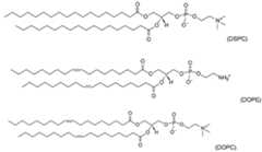 Figure imgf000084_0001