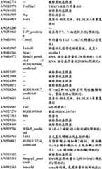 Figure BDA0000057170160000411