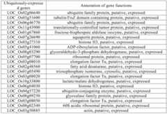 Figure PCTCN2022090268-appb-000001