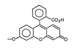 Figure imgf000057_0001
