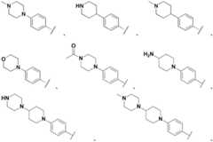 Figure FDA0003017601000000072