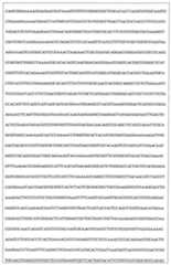 Figure 108128641-A0202-12-0135-985