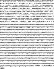 Figure BPA0000291811450000262