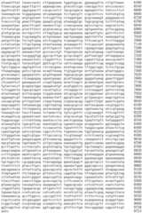 Figure IDA0002536600790000351