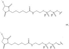 Figure imgf000554_0002