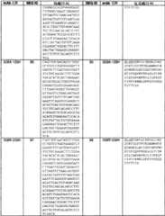 Figure BSA0000239808480000941