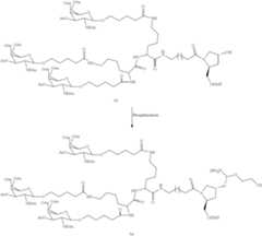 Figure US09181549-20151110-C00622