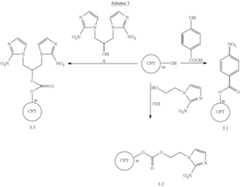 Figure US08779138-20140715-C00028