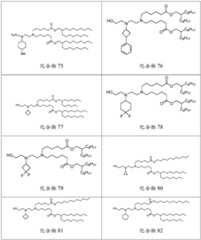 Figure BDA0003154168970001001