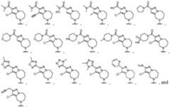 Figure imgf000391_0003