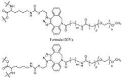 Figure imgf000026_0002