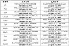 Figure BDA0004113660640001931