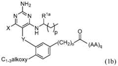 Figure imgf000012_0002