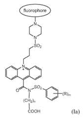 Figure imgf000029_0001