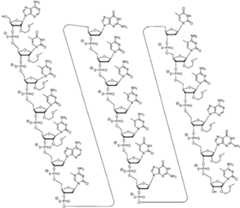 Figure imgf000014_0001