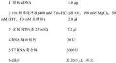 Figure BDA0002572923940004051