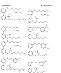 Figure imgf000091_0001
