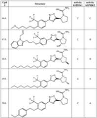 Figure imgf000041_0001