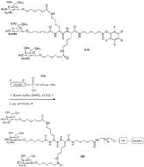 Figure imgf000254_0001