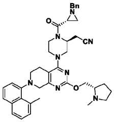 Figure imgf000251_0002