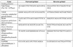Figure imgf000025_0001