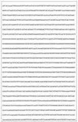 Figure 108128641-A0202-12-0264-921