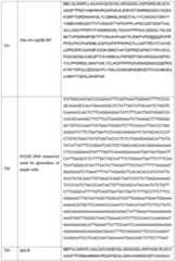 Figure imgf000179_0001