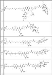 Figure BDA0002889616220001991