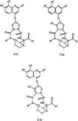 Figure BSA00000676350900141